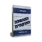 עבודה בנושא כינון חוקה, הפרדת בג"צ , הקמת בימ"ש חוקתי בישראל