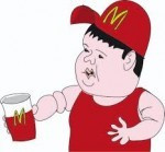 עבודה אקדמית חיידקי המעיים והשמנה