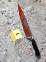 עבודה אקדמית תפיסת הג׳יהאד והאסתשהאד של אל קעידה וחמאס השפעת משנתו הרעיונית של עבדאללה זעאם