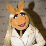 סמינריון הגבלות על שעות הפעילות של מקומות בילוי