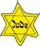 עבודת גמר המאפיינים והתמורות שחלו בחיי היהודים וביטויים לאוטונומיה של היהודים עד 1935