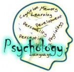 עבודת גמר מודל התגובה של הלחץ